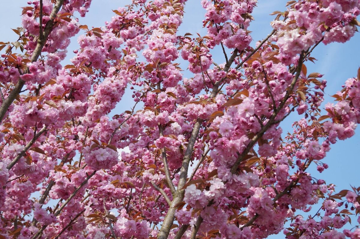 Фото процитировано с сайта: vsegda-pomnim.com