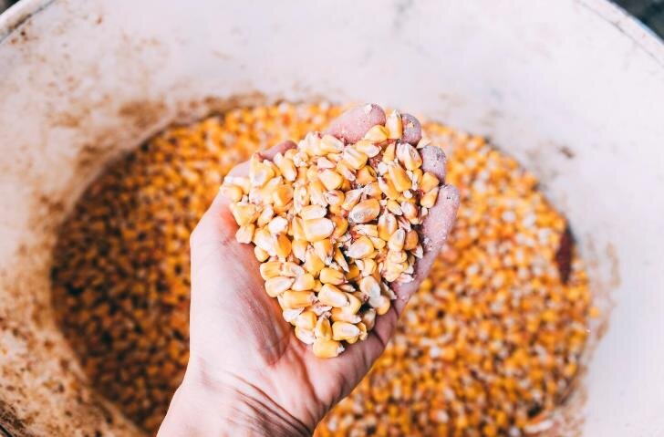 Фото: freepik.com