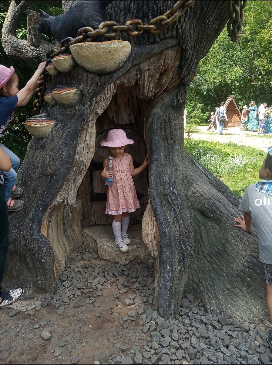 Дуб с золотой цепью и котом. Фото 2019 года