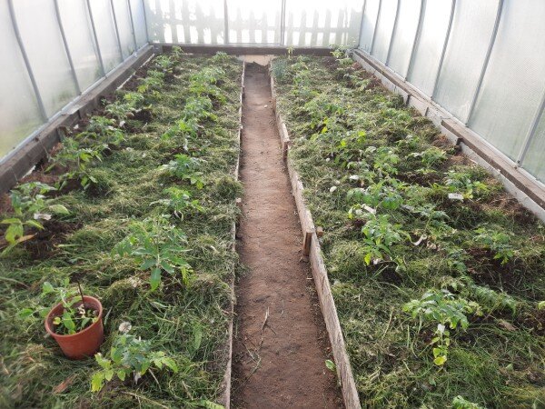 Это я еще метелкой помахала...