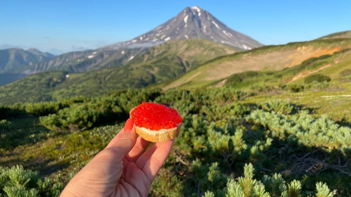 Кушаем бутерброды с красной икрой с видом на Вилючинский вулкан