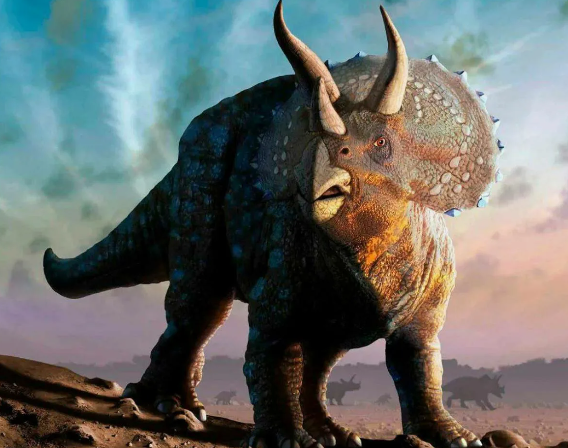 Трицератопс (Triceratops horridus)