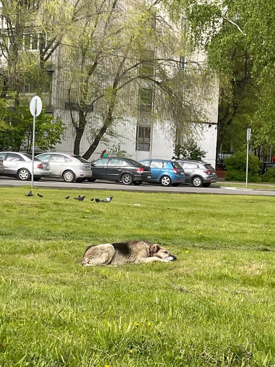 Многие бы его и не заметили