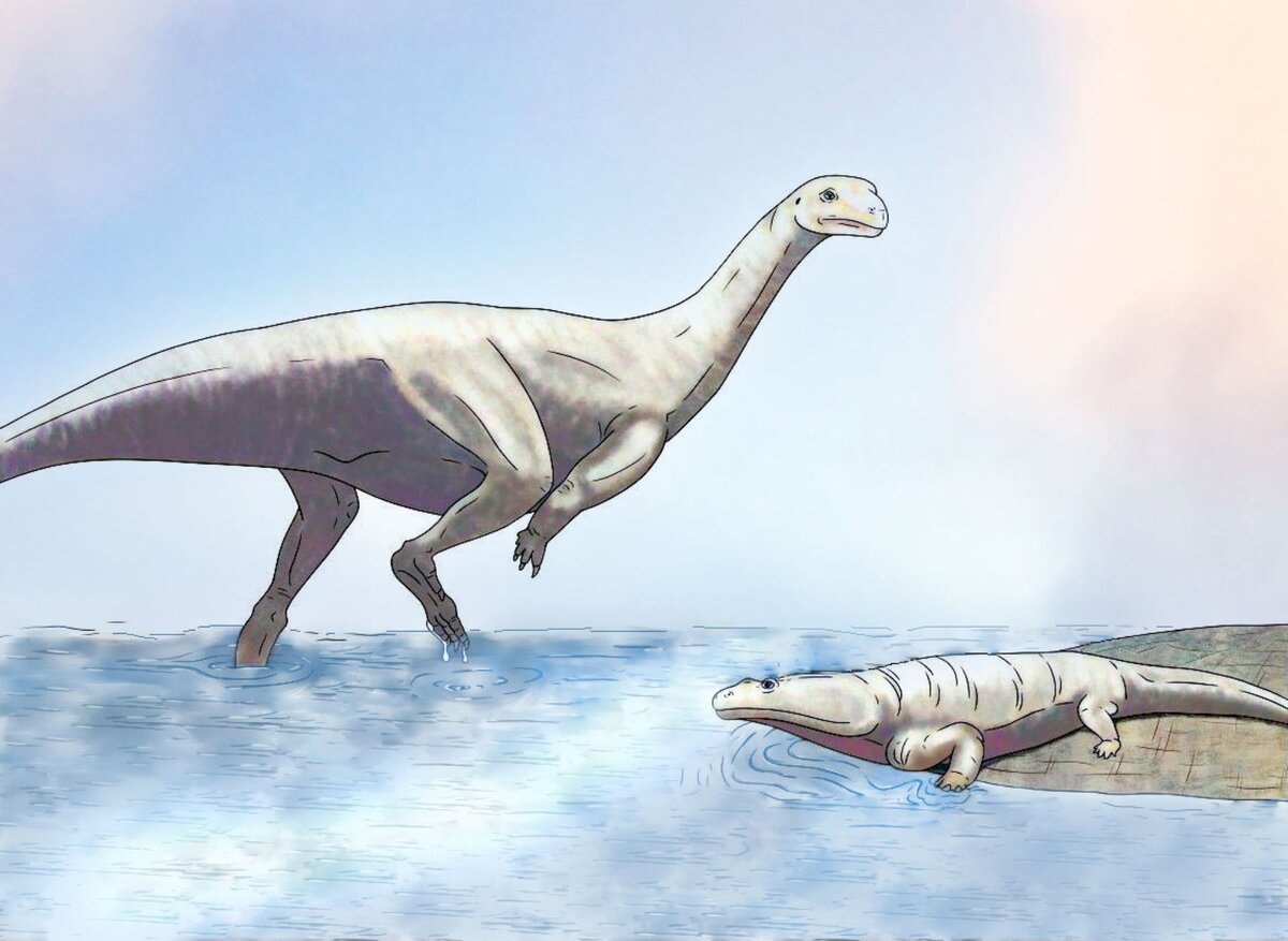Musankwa sanyatiensis и metoposaurus.