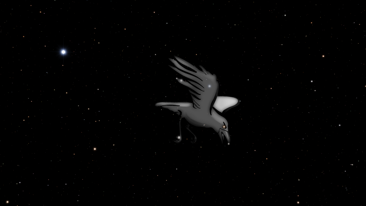 Авторское изображение звёздного неба в окрестностях созвездия Ворона и наложенный полупрозрачный рисунок птицы, взятый из программы Stellarium