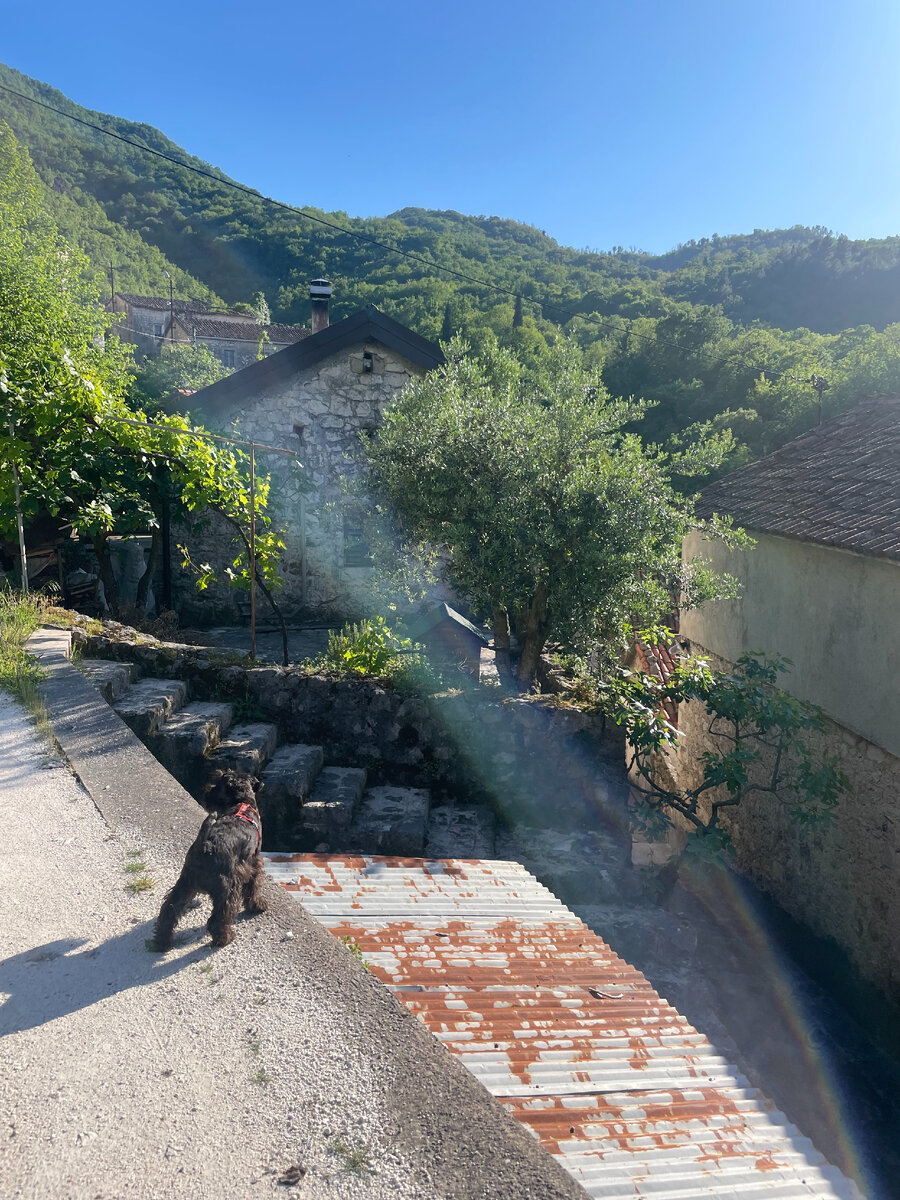 Домишки в Годинье