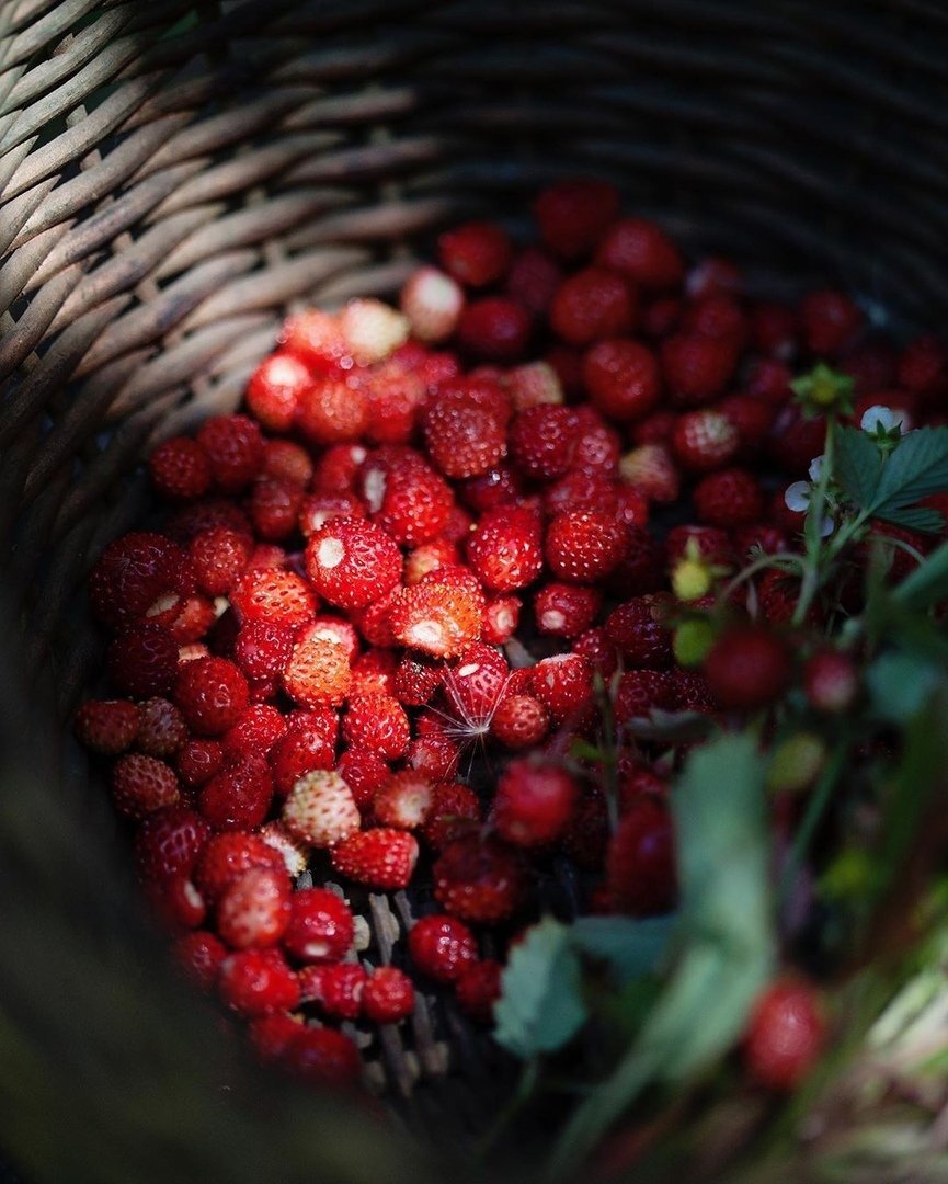 Земляничная пора