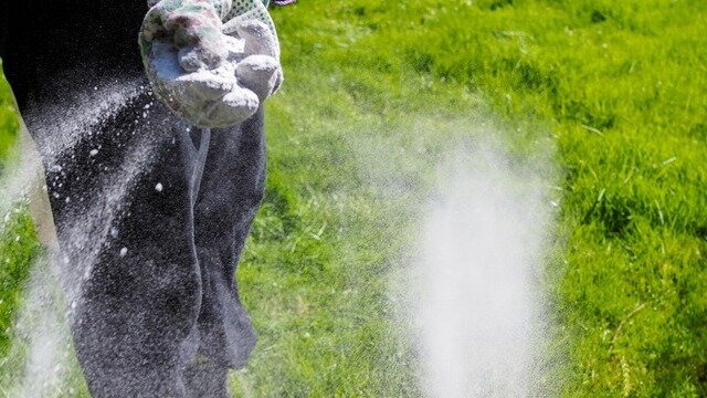 Содержание калия в калиевой селитре составляет 46%, азота – 13,6%. Препарат лучше использовать на первых двух этапах.