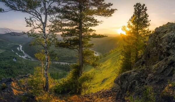 Картинка найдена на просторах интернета, ссылка https://yandex.ru/images/search?from=tabbar&img_url=https%3A%2Fi%2F.pinimg.com%2Foriginals%2Fa8%2F34%2Fа3f%2Fa83р43f82551с2879b5e7bd53274cf0591a19.jpg&lr=47&pos=15&rpt=simage&text=%D1%86%D0%B2%D0%B5%D1%82%D1%8B%20%D0%BA%D1%80%D1%83%D0%BF%D0%BD%D0%BE%20%D1%84%D0%BE%D1%82%D0%BE 