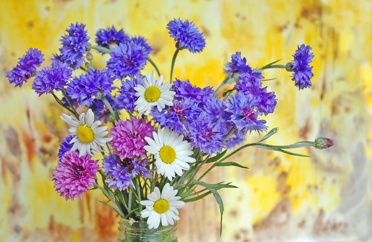 Картинка найдена на просторах интернета, ссылка https://yandex.ru/images/search?from=tabbar&img_url=https%3A%2Fi%2F.pinimg.com%2Foriginals%2Fa8%2F34%2Fа3f%2Fa83р43f83251с2879b5e7bd53274cf0591a19.jpg&lr=47&pos=15&rpt=simage&text=%D1%86%D0%B2%D0%B5%D1%82%D1%8B%20%D0%BA%D1%80%D1%83%D0%BF%D0%BD%D0%BE%20%D1%84%D0%BE%D1%82%D0%BE 