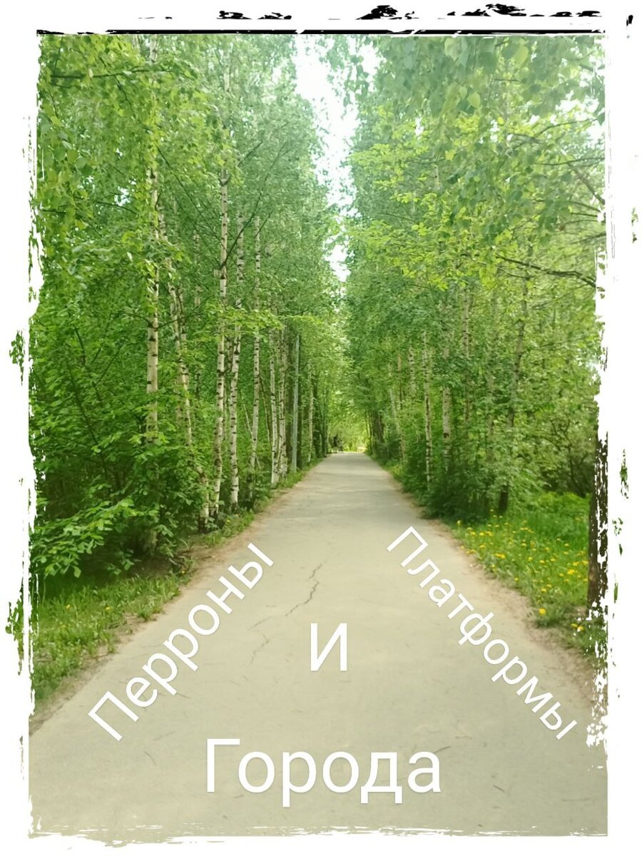 Дорога к электричке в моем районе