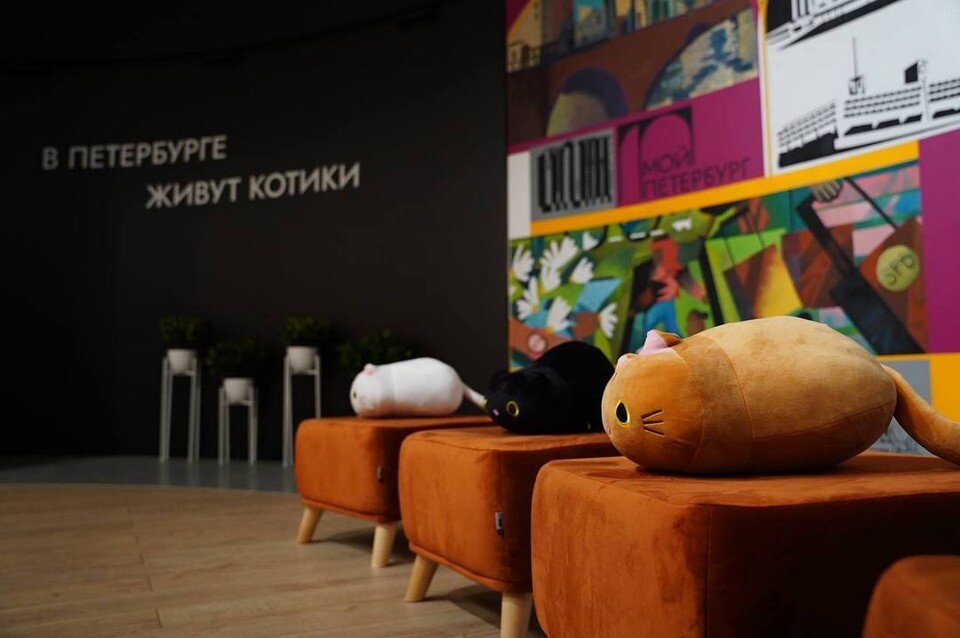    Площадь выставки составила 3,5 тысячи квадратных метров. Фото: t.me/a_beglov