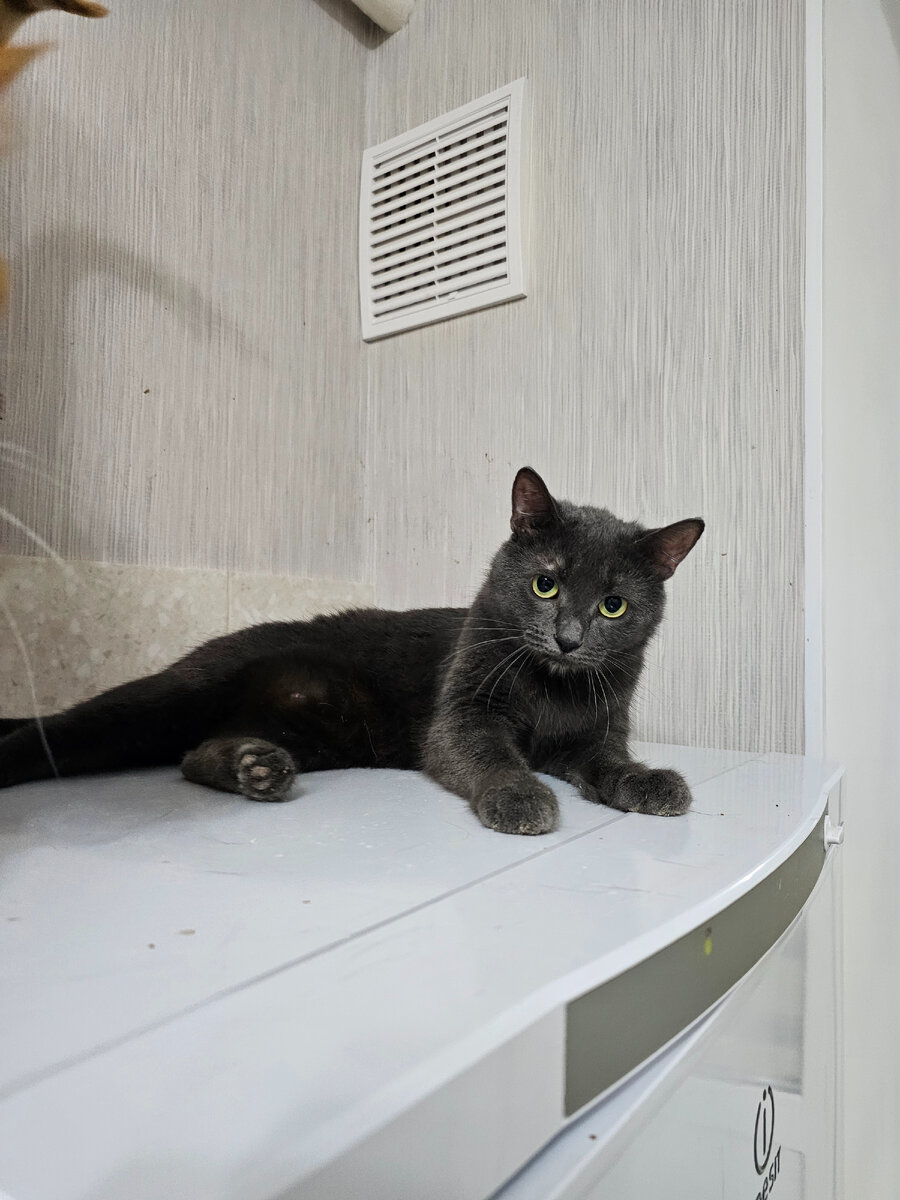 Фото автора. Мару.