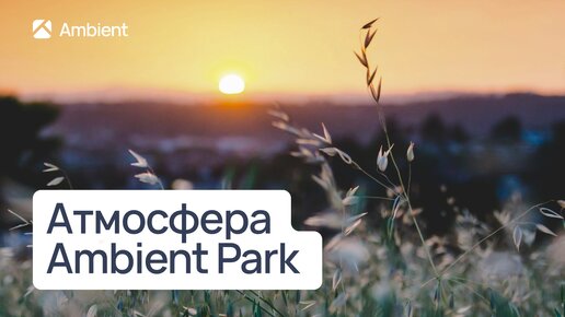 Окружение Ambient Park | Зоны отдыха, рекреации и эмоций в окрестностях парк-отеля