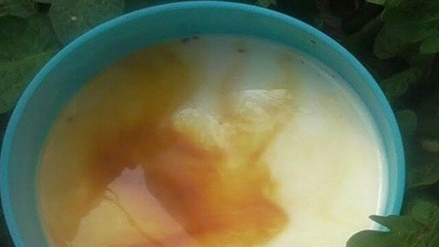 Готовлю так: к 9 л воды добавляю 1 л молока, перемешиваю, вношу 5 капель йода.