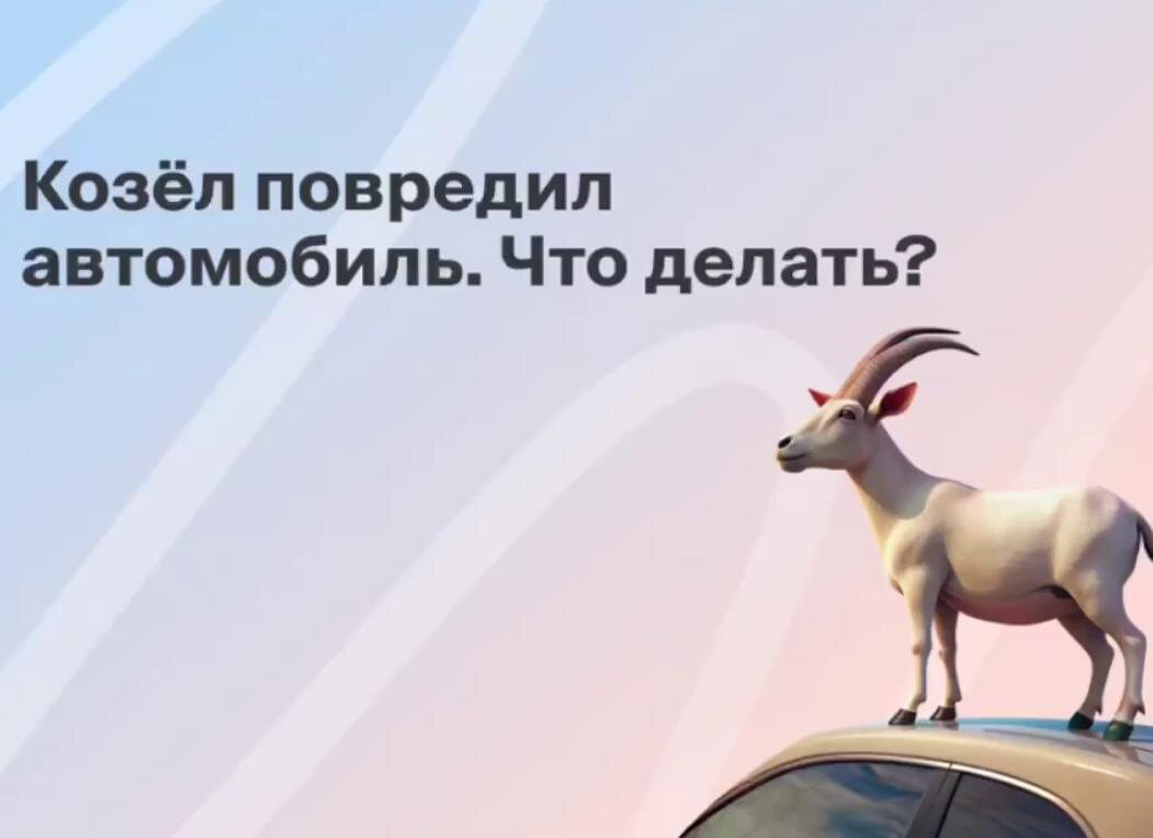 Козёл повредил автомобиль. Что делать? 🐐 | Абсолют Страхование | Дзен