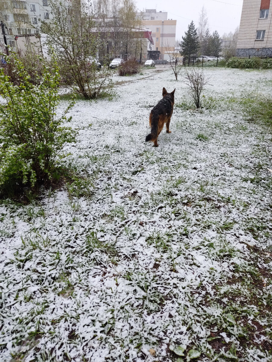 Растения опять в шоке. 