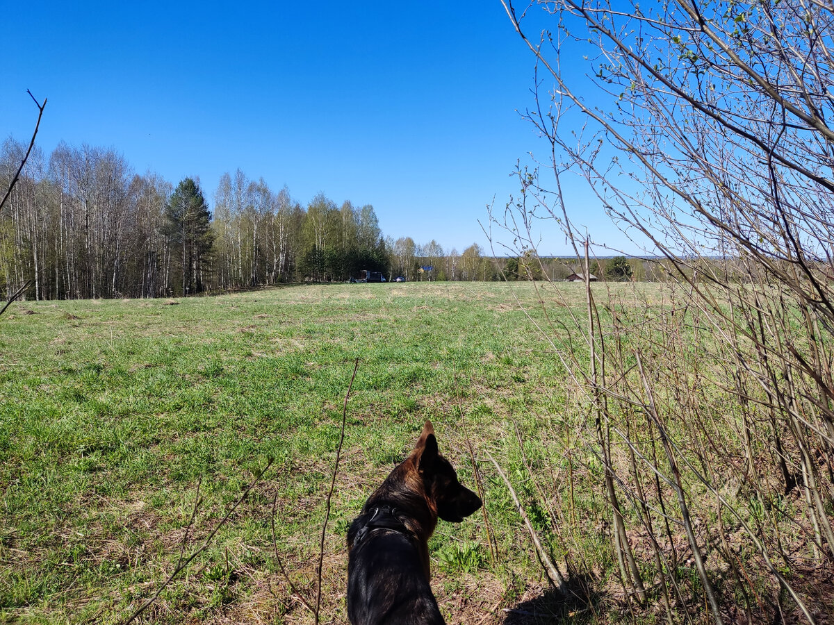 Гуляем возле своего дачного участка. 