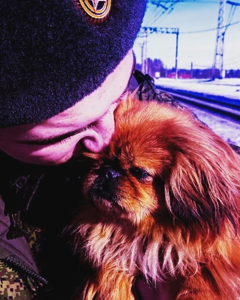 Это рыженькое чудо Данил подобрал на вокзале перед отправкой на Украину. Не мог пройти мимо то ли выброшенного, то ли потерявшегося песика. Он очень любил животных…