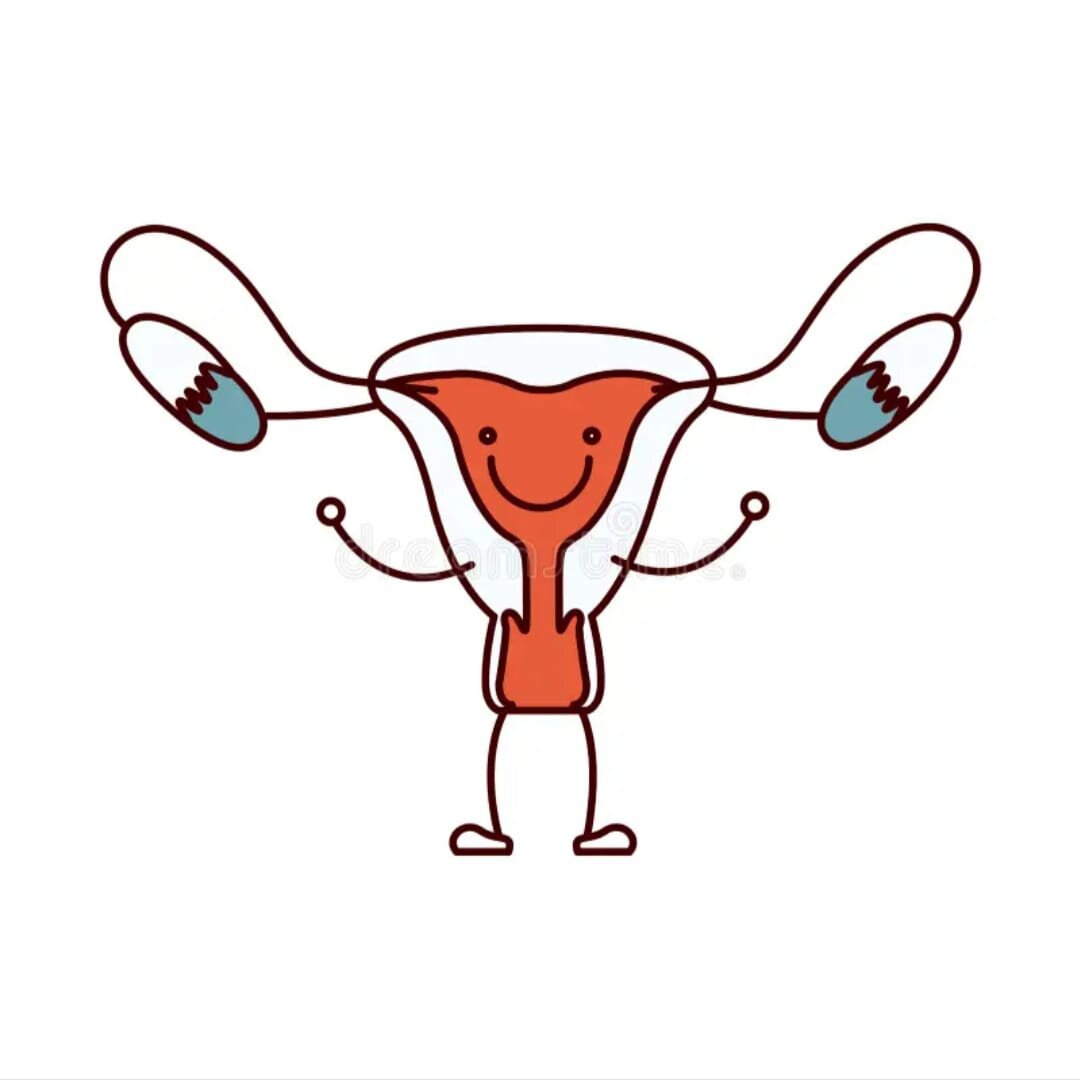 наверное так выглядит здоровая матка) фото из открытых источников