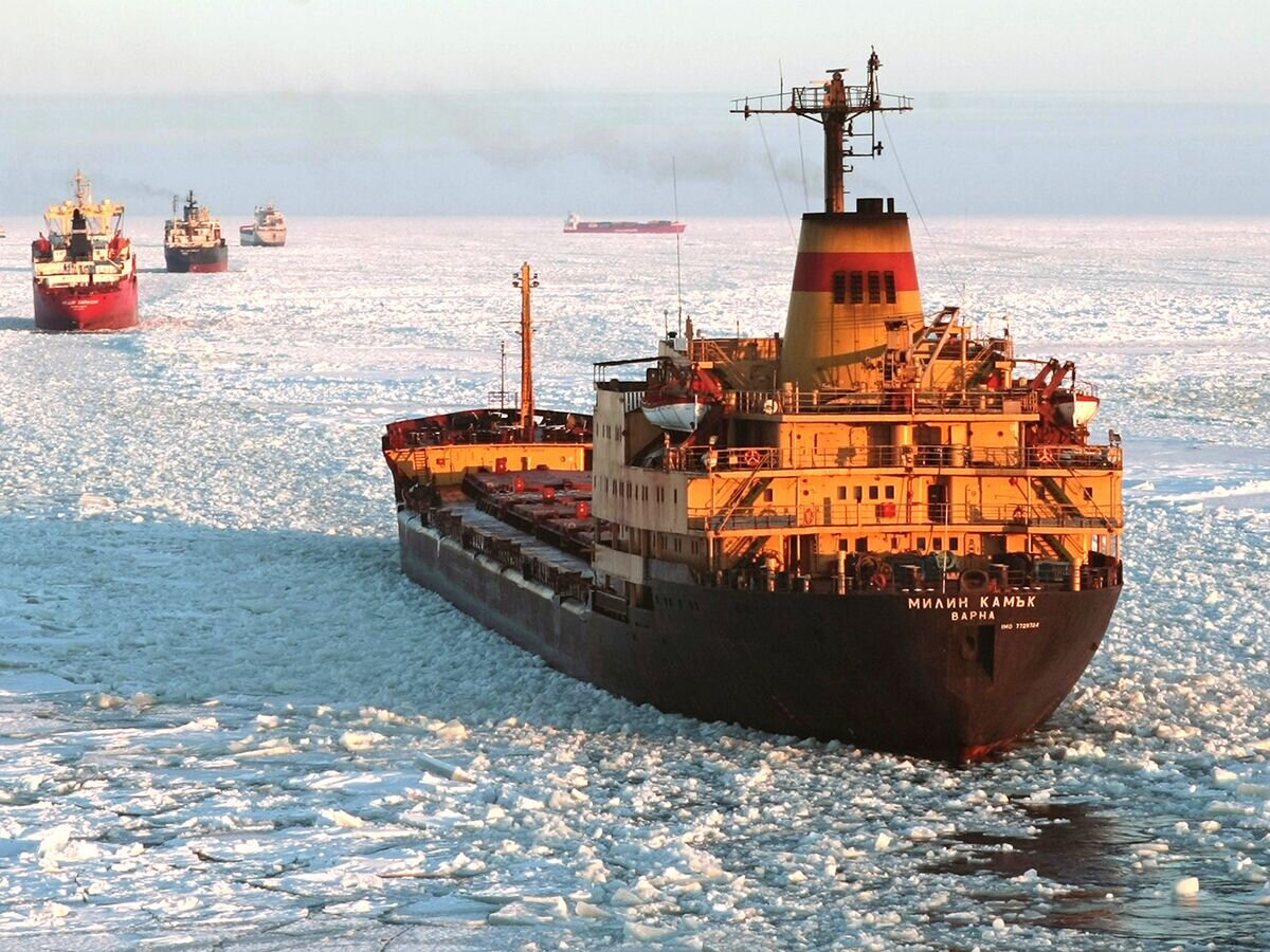    " Атомный ледокол проводит караван судов © РИА Новости . Вадим Жернов