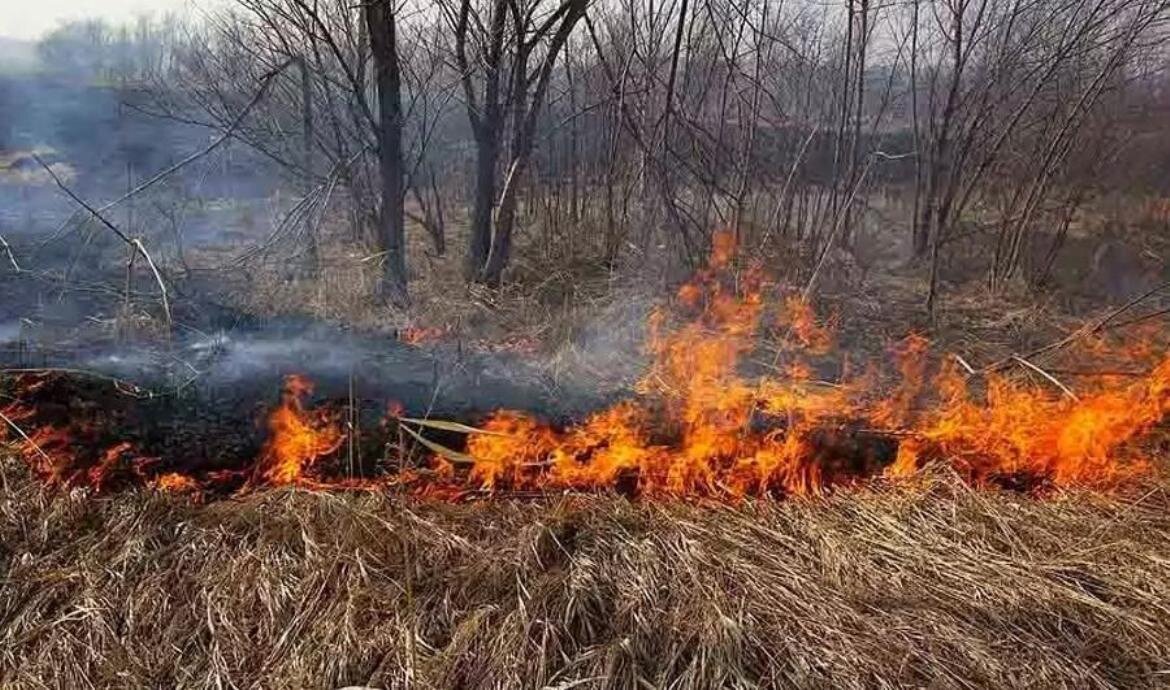    За пал травы на своём участке хантымансийца оштрафовали на 40 тысяч рублей