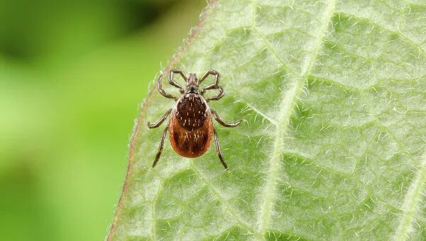 Fotolia/ Michael Tieck