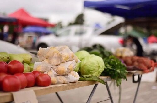    Фото: пресс-служба администрации Краснодарского края
