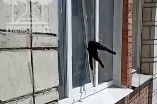 Анастасия Сайханова/Типичный Димитровград/VK   📷