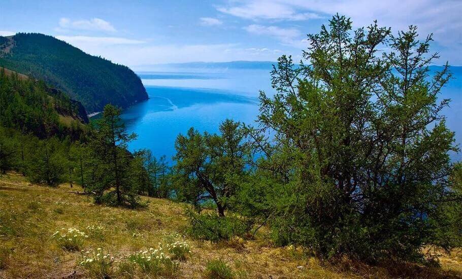 Ставьте лайк, если вам понравилась публикация. Подписывайтесь на канал и будьте в курсе отраслевых событий.