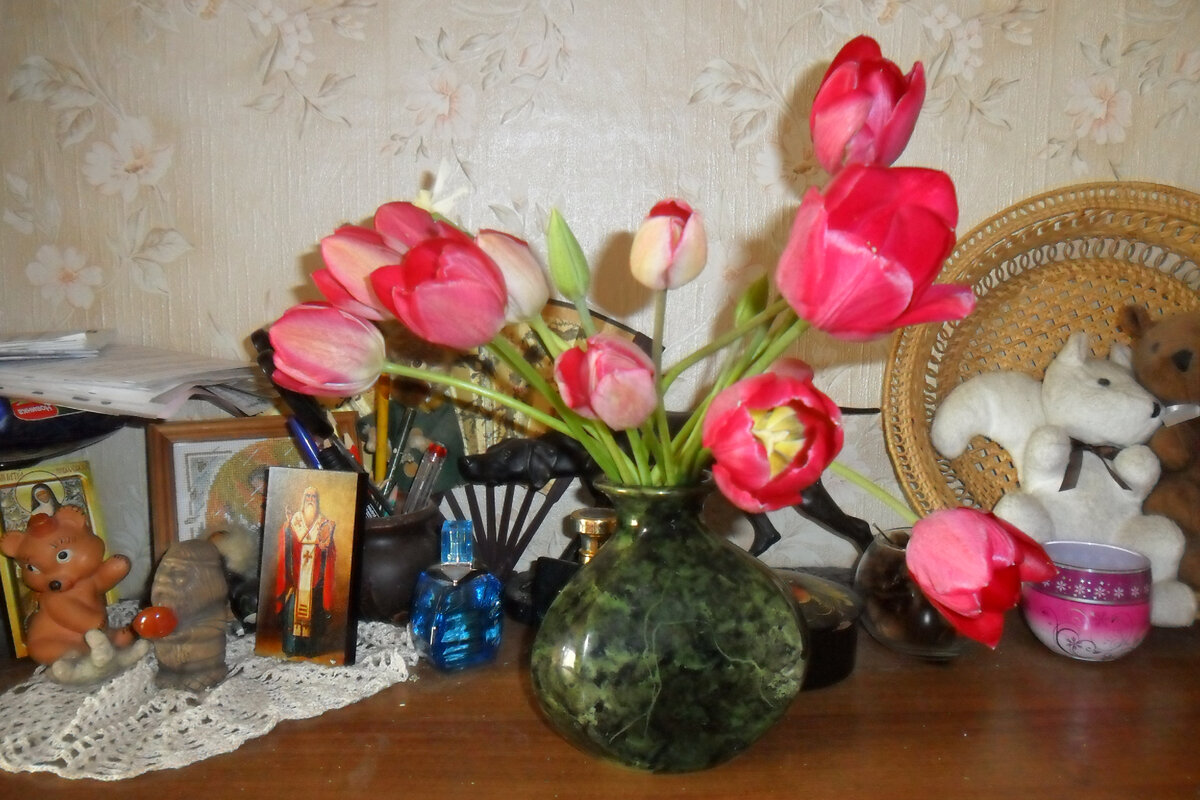 Всё цветёт... Поздние тюльпаны благополучно пережили майскую зиму и теперь отрываются по полной.