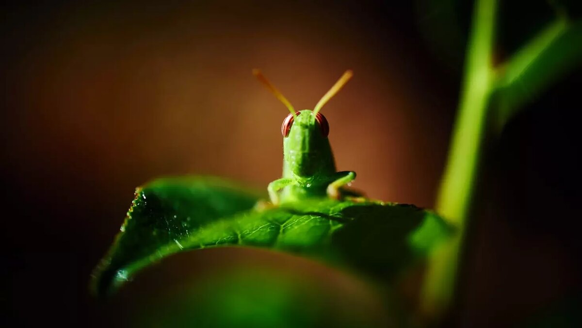     Автор: Unsplash