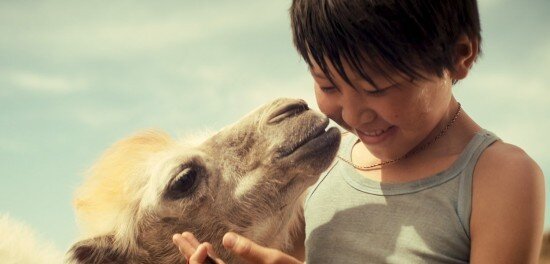    Фото: кадр из фильма «Небесный верблюд»