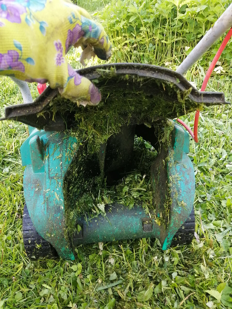 Газонокосилкя почти забилась травой, пора чистить. Сначала отключив от сети! Технику безопасности никто не отменял...