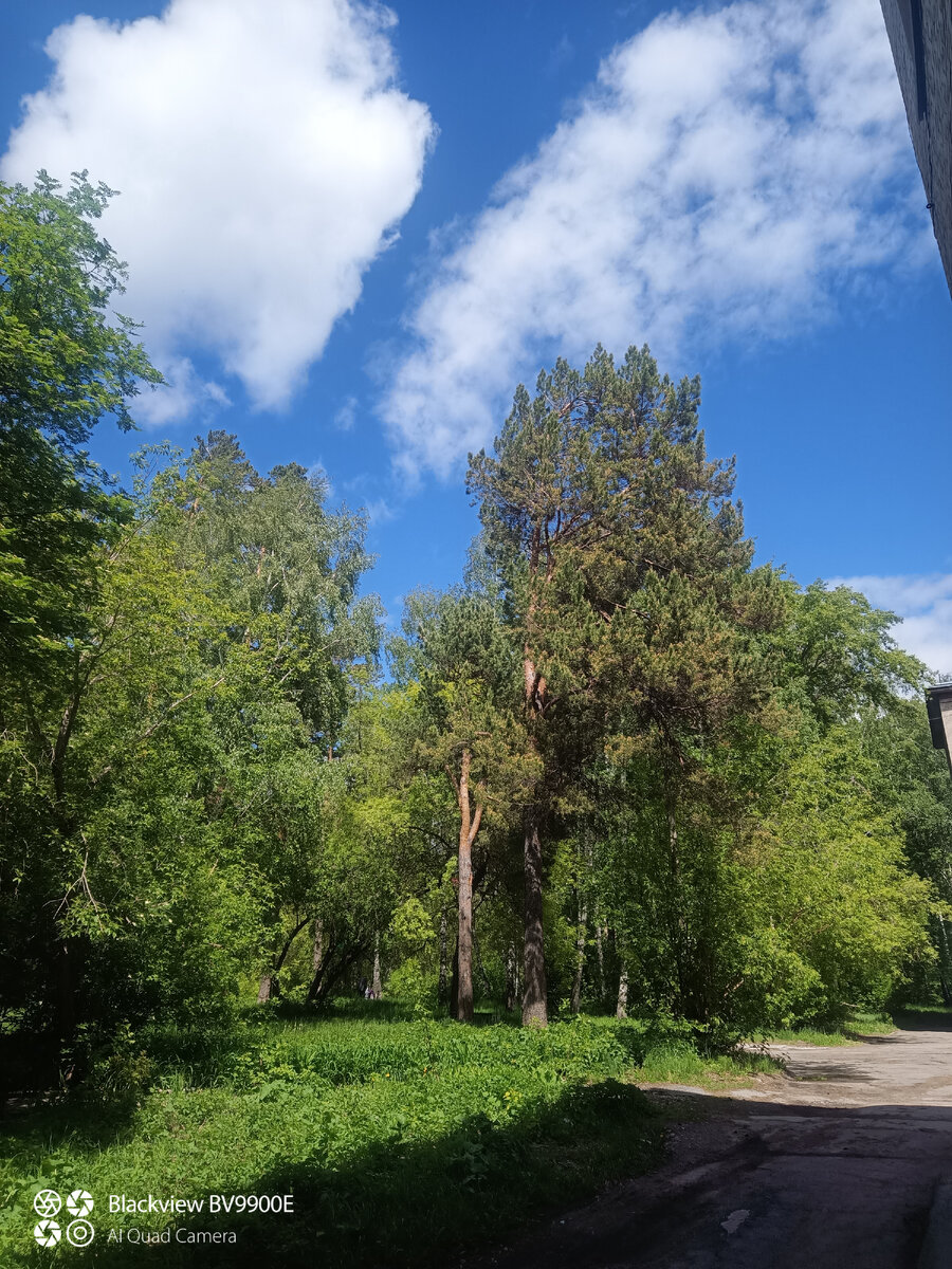 25 ГКБ