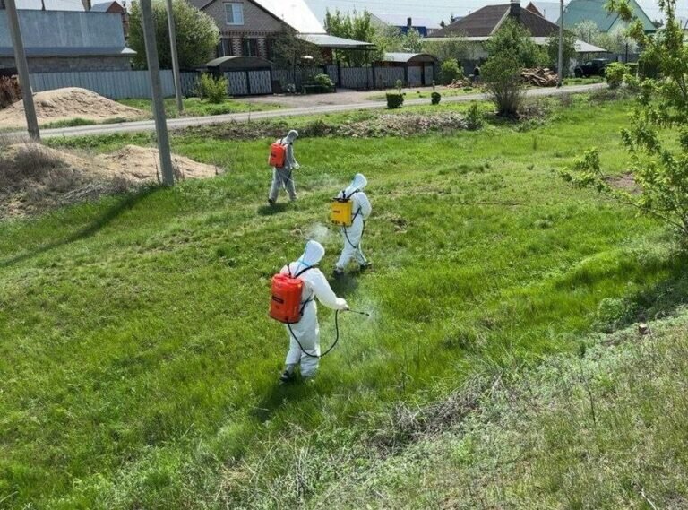    После паводка. В Оренбуржье завершена обработка от вредных насекомых и грызунов Андрей Севостьянов