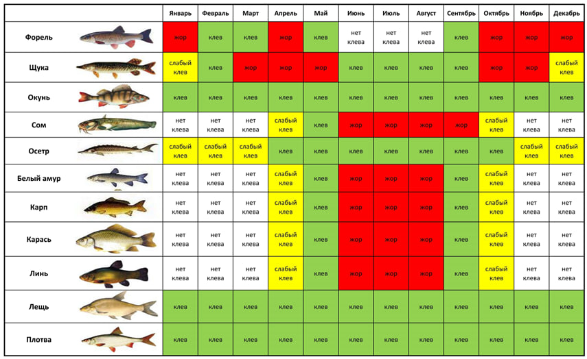 Прогноз клева в сыктывкаре