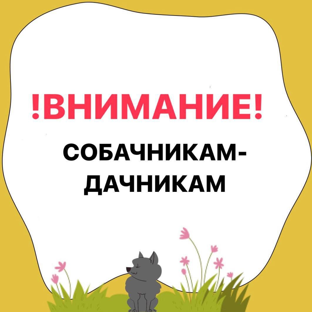 БУДЬТЕ ВНИМАТЕЛЬНЫ К СВОИМ МЕЛКАШАМ!