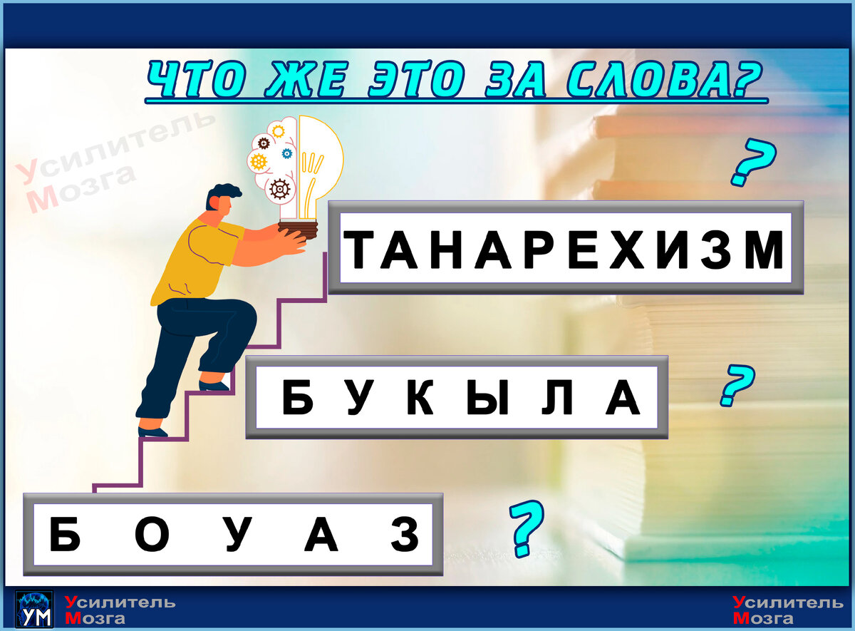 Какие слова скрываются за набором букв? Сможете собрать 7 слов? | УМ -  Усилитель Мозга | Дзен