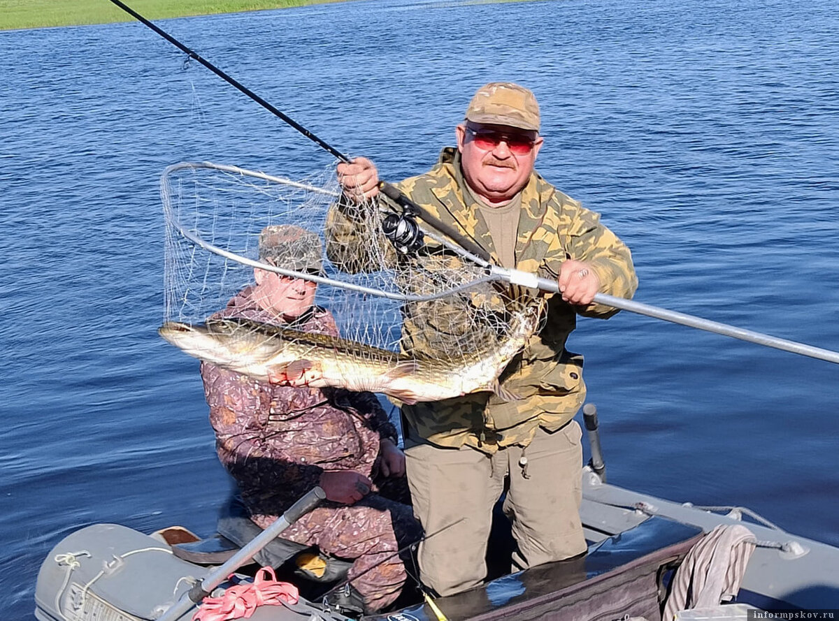 Ох и хороши же в этом году рыбалки на реке Великой! Фото здесь и далее из архива автора