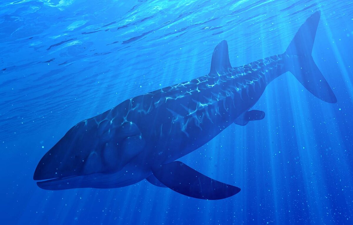 © Sebastian Kaulitzki/Shutterstock/FOTODOM 