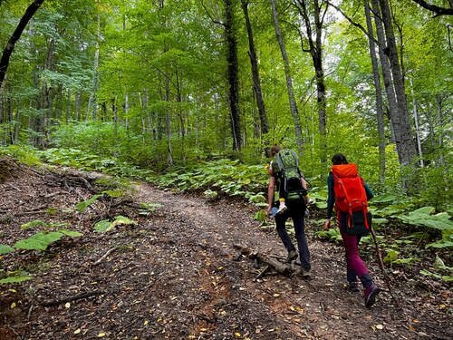    Фото: пресс-служба администрации Краснодарского края