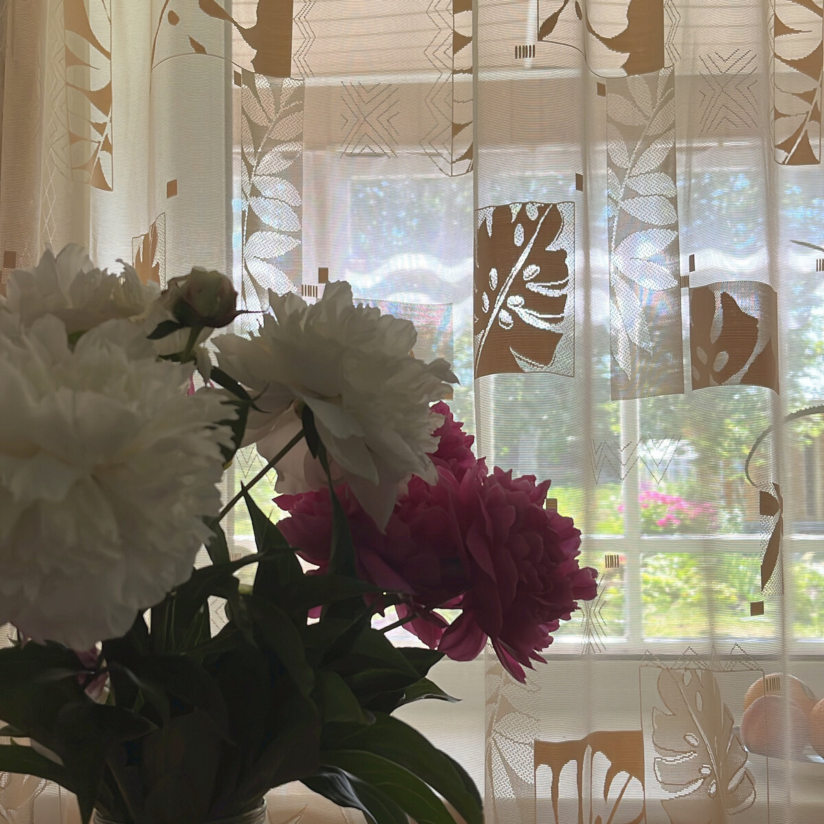 В своем доме встречать утро приятнее 