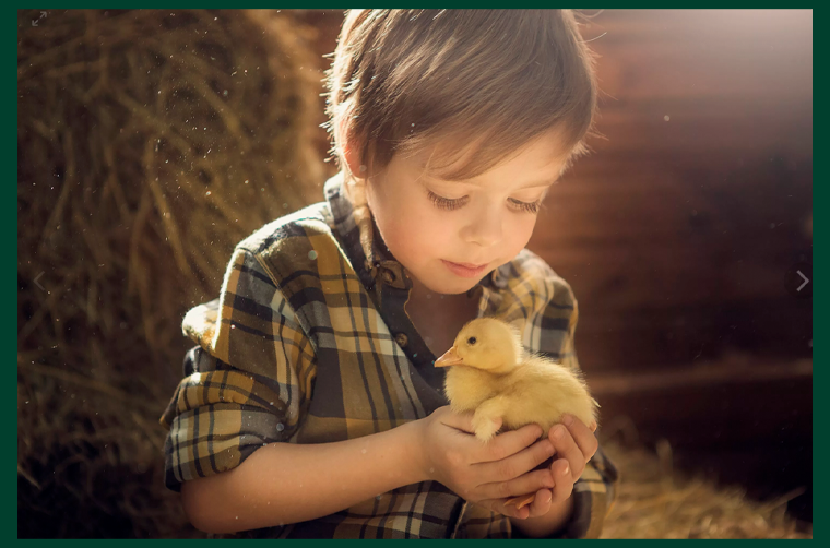 #базовые операции мышления