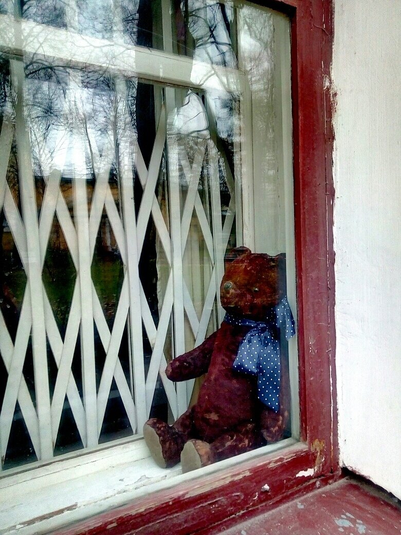 Фото автора