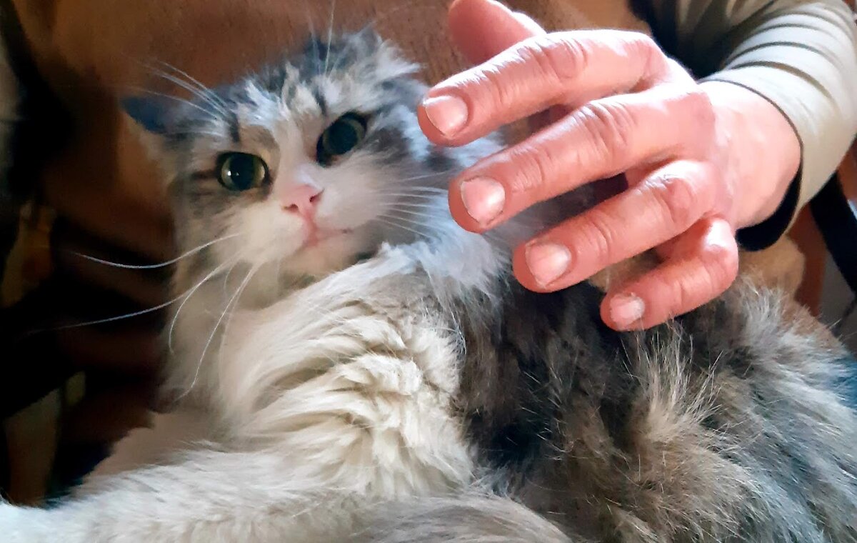 Руки убери!!