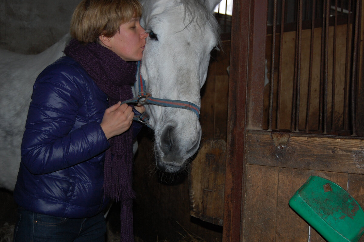 Еще в прокате