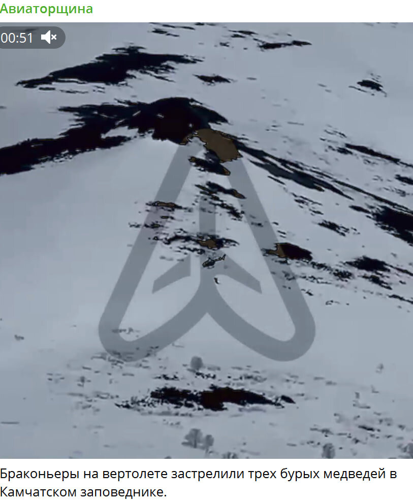    Скриншот: "Авиаторщина"/Telegram