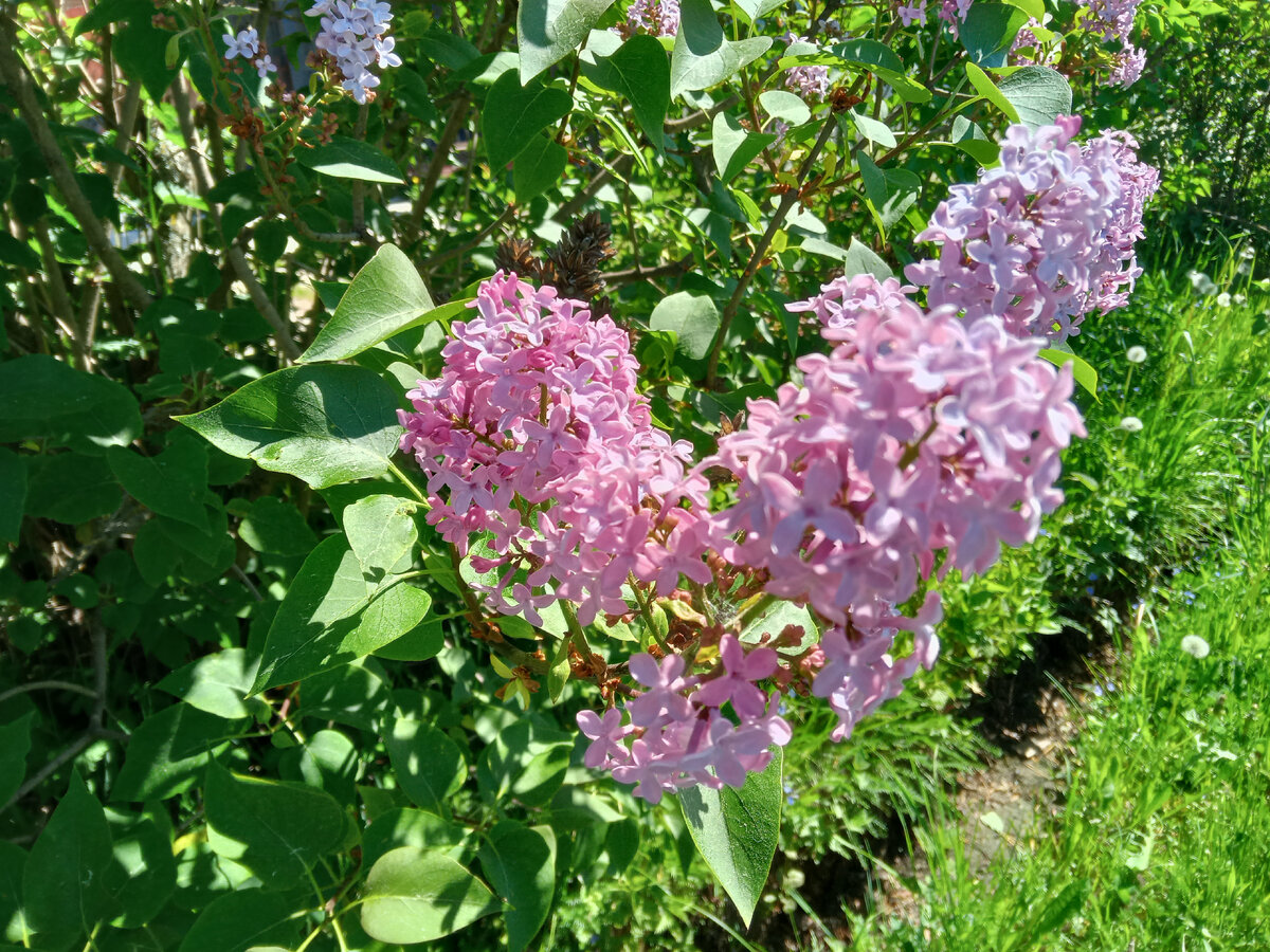 Фото автора.