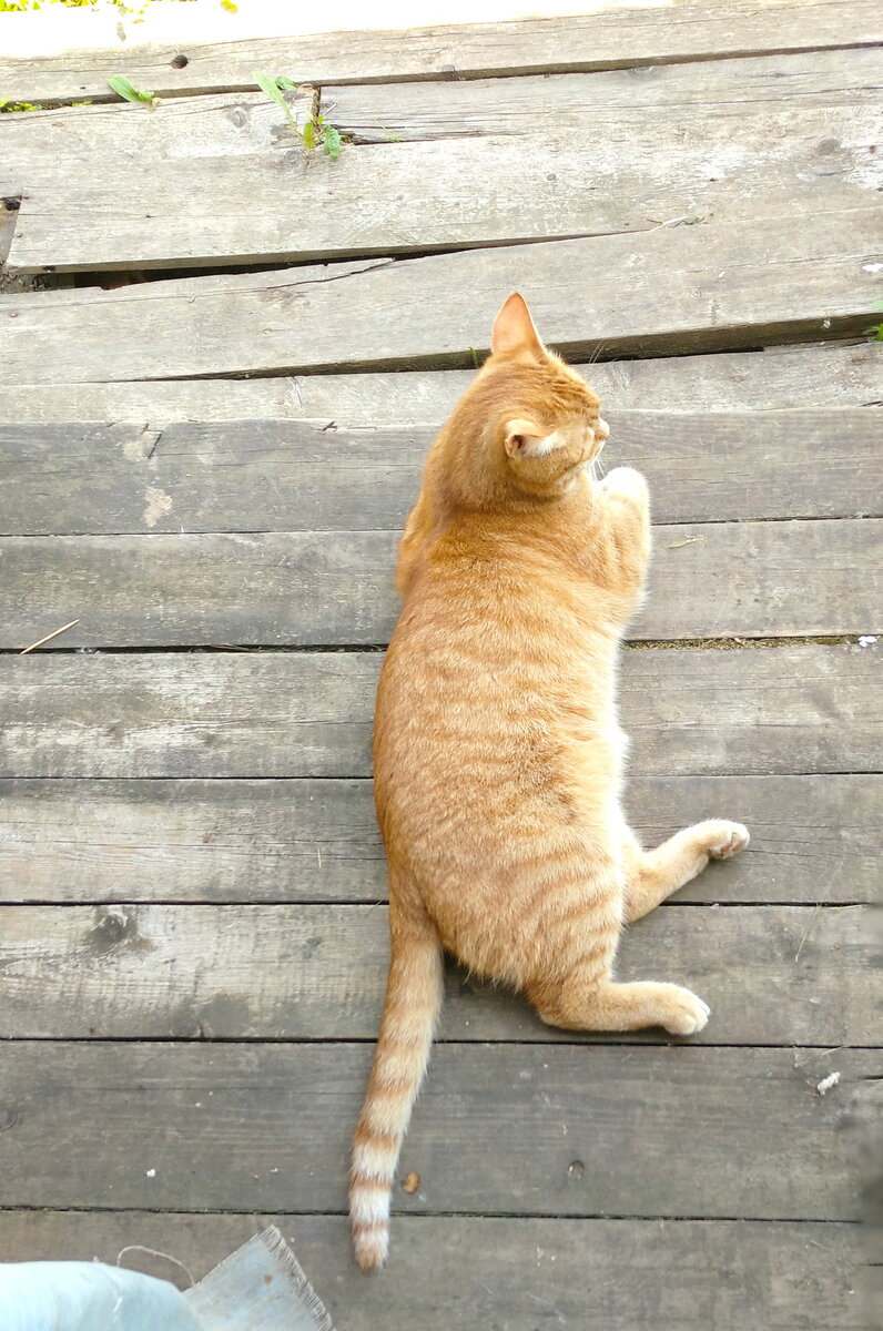 Личное фото